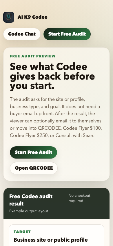 Codee Site Audit demo shown in an iPhone-style frame